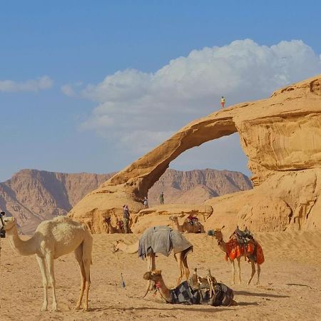 Wadi Rum Desert Camp Exteriör bild