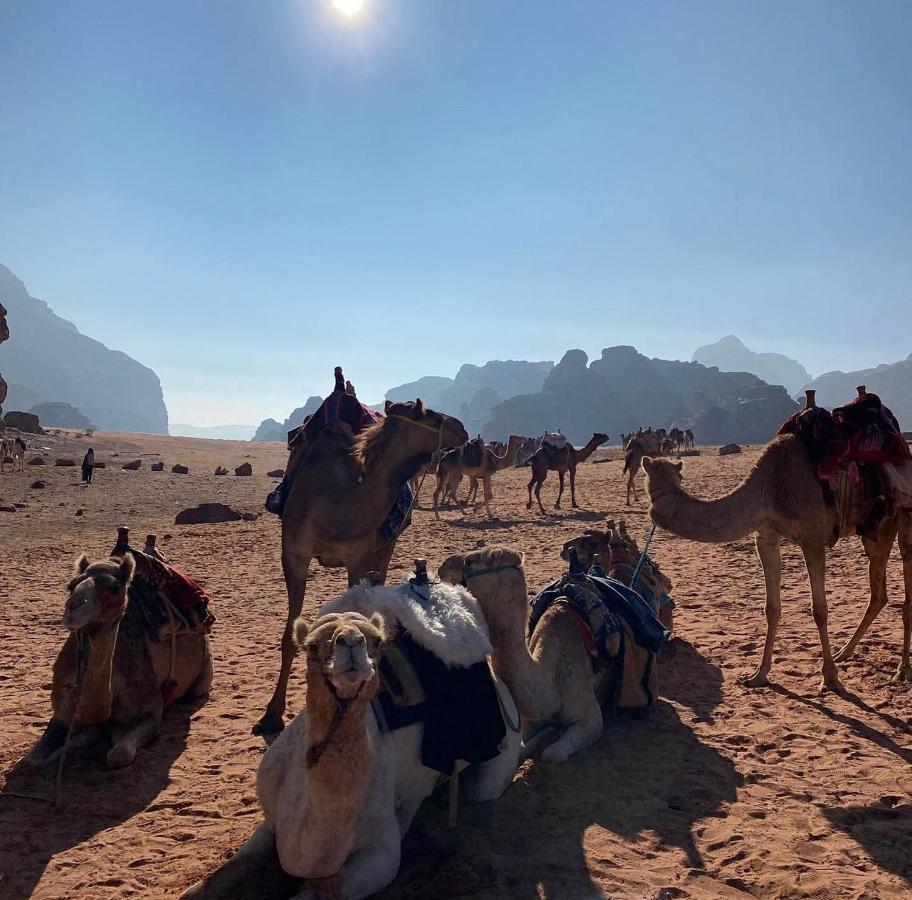 Wadi Rum Desert Camp Exteriör bild