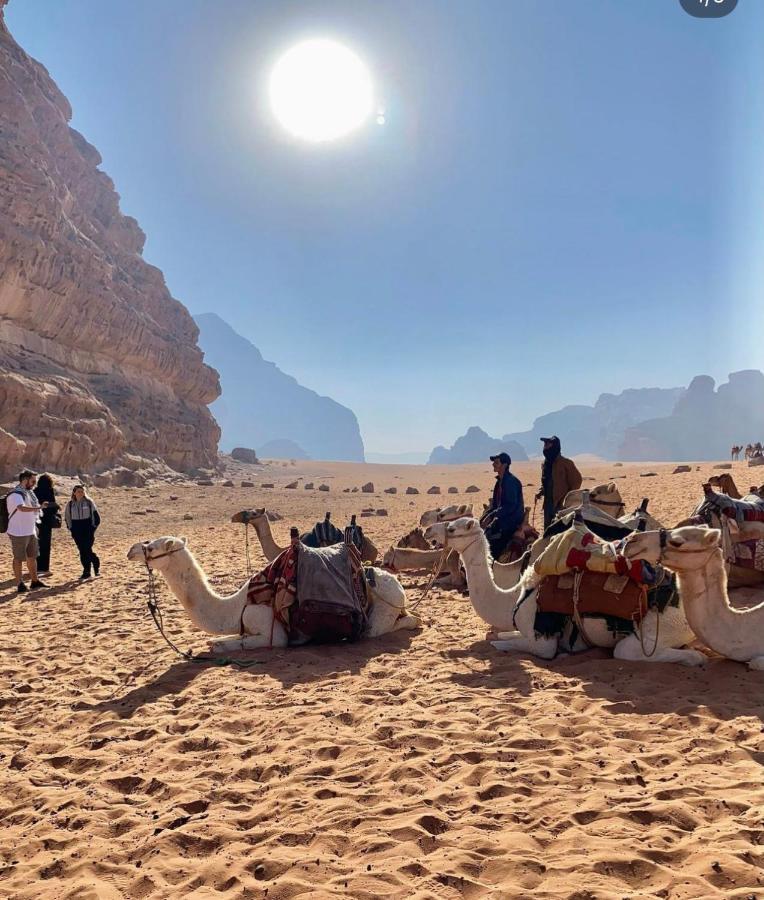 Wadi Rum Desert Camp Exteriör bild