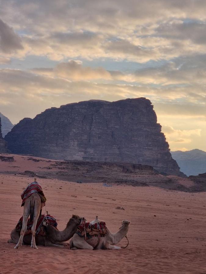 Wadi Rum Desert Camp Exteriör bild