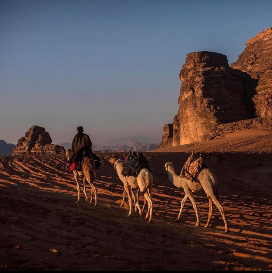 Wadi Rum Desert Camp Exteriör bild
