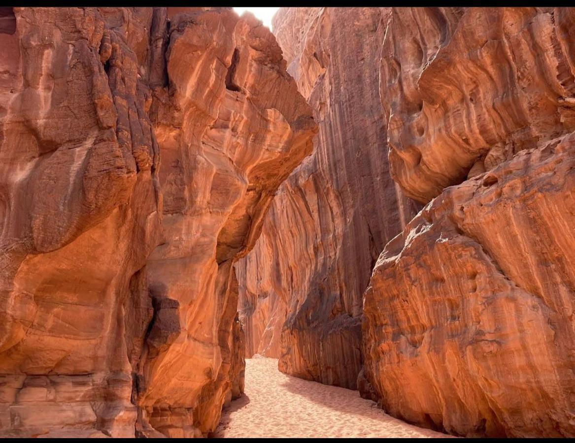 Wadi Rum Desert Camp Exteriör bild